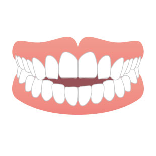 開咬<br>(オープンバイト)